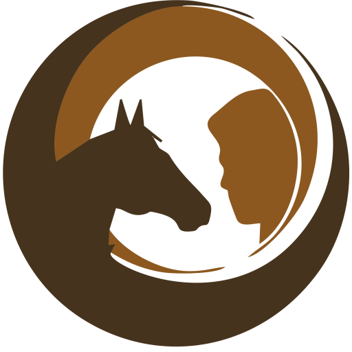 Daily Horse – Holistic Horse Training